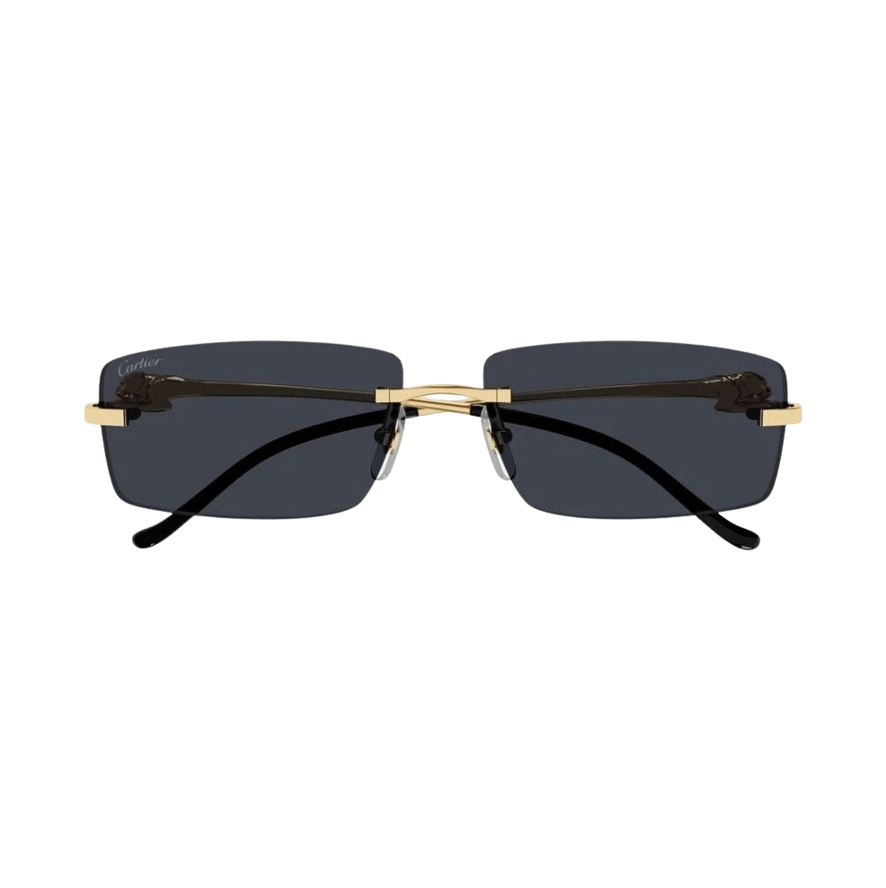 Cartier CT0430S