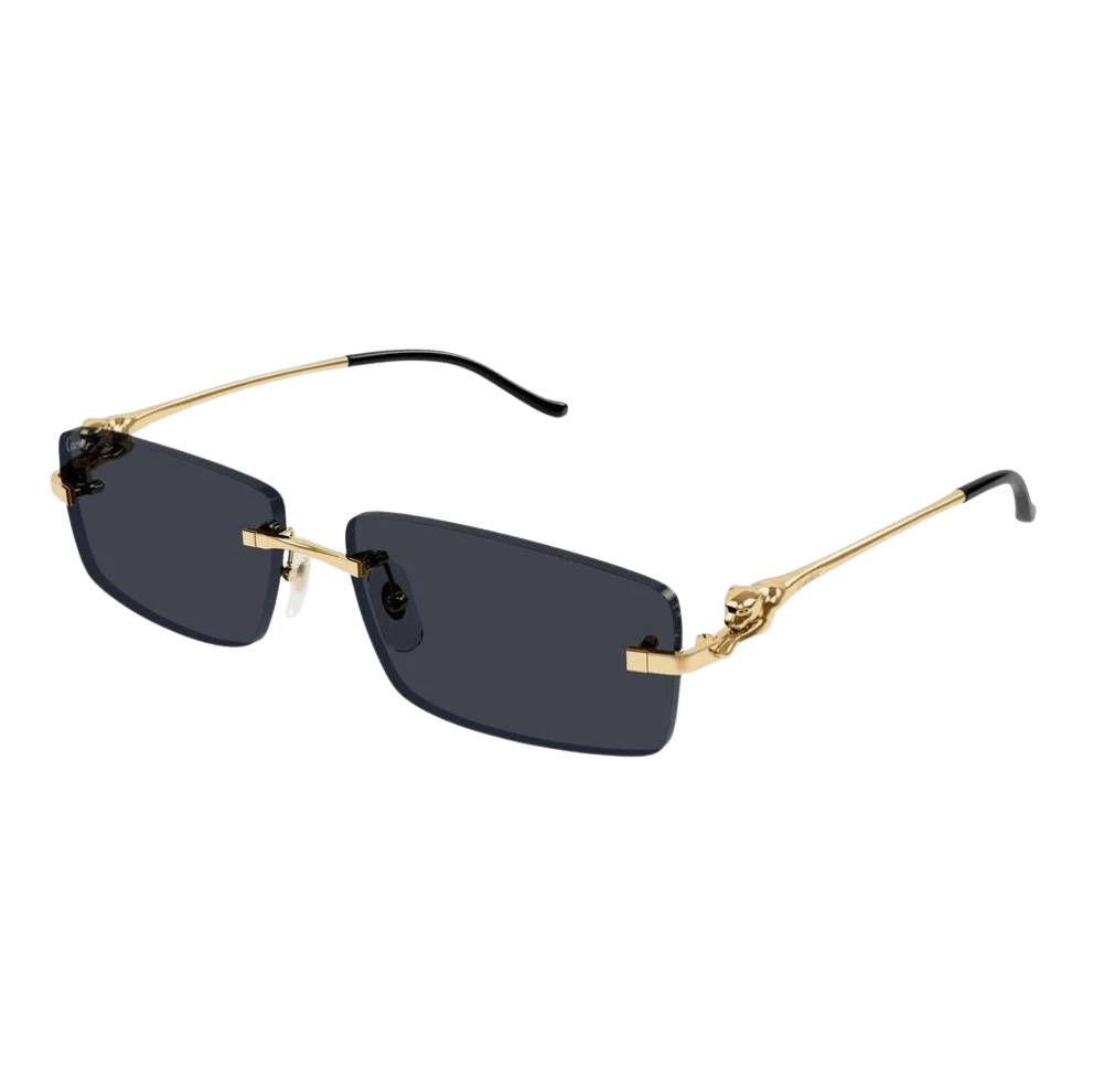 Cartier CT0430S