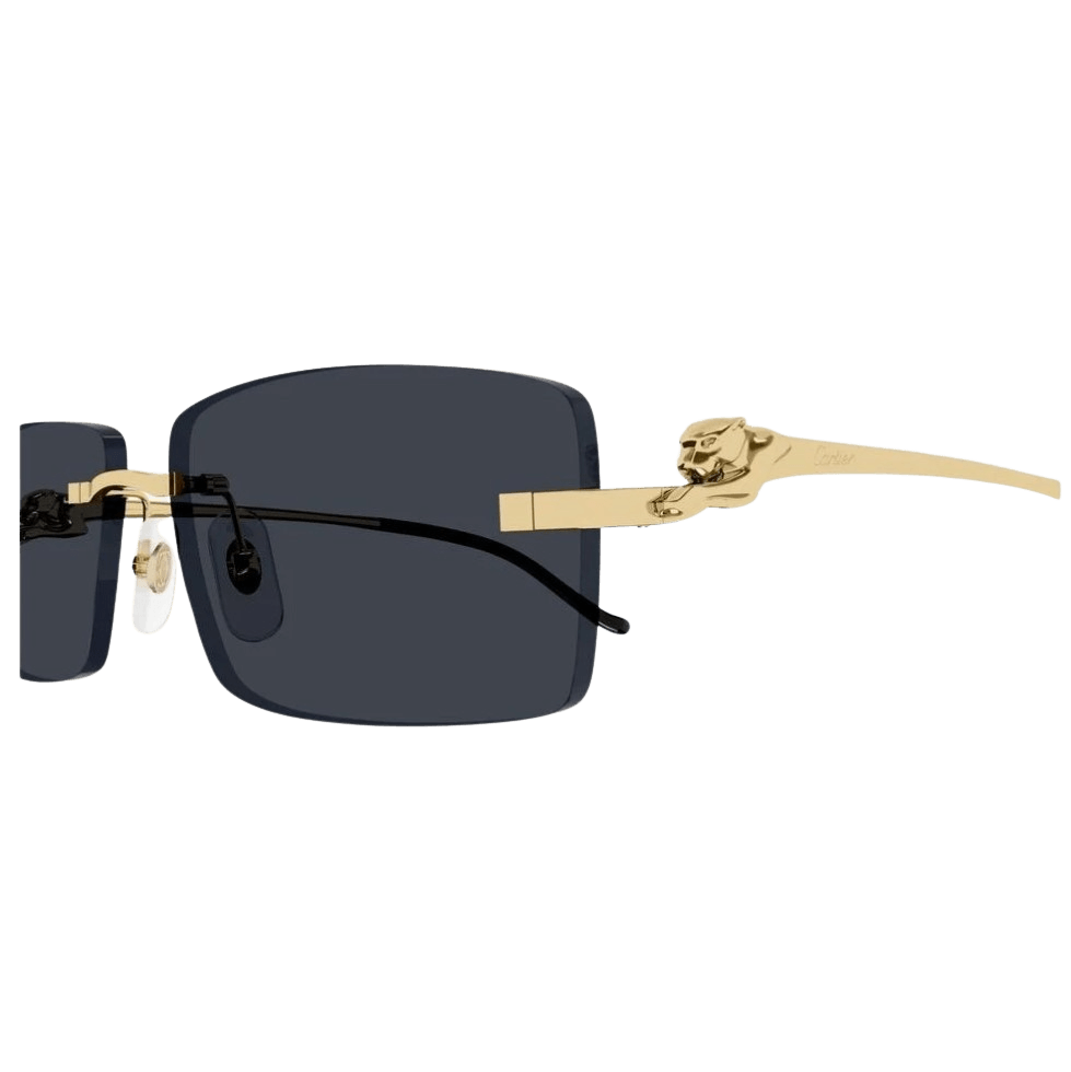 Cartier CT0430S