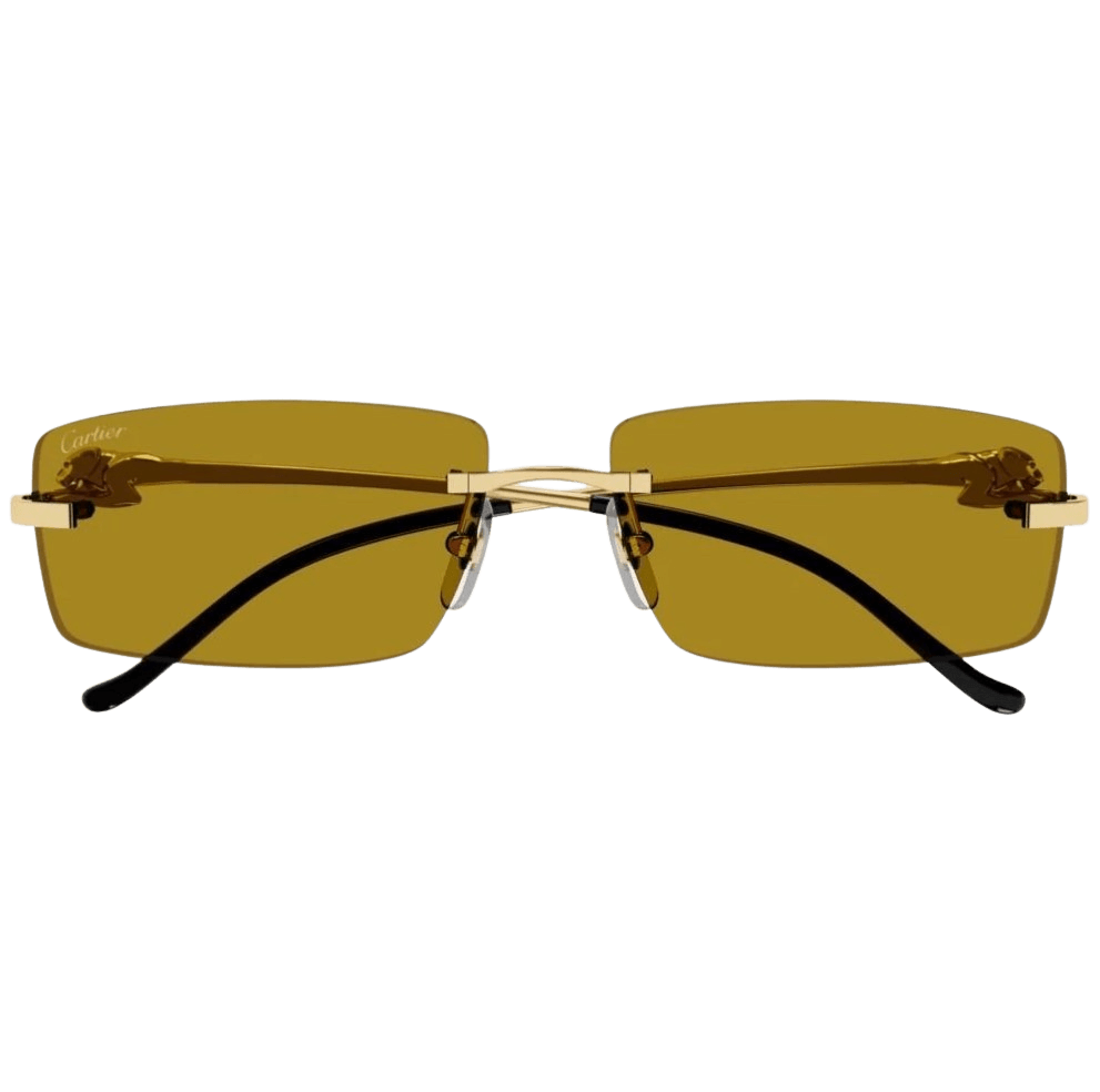 Cartier CT0430S