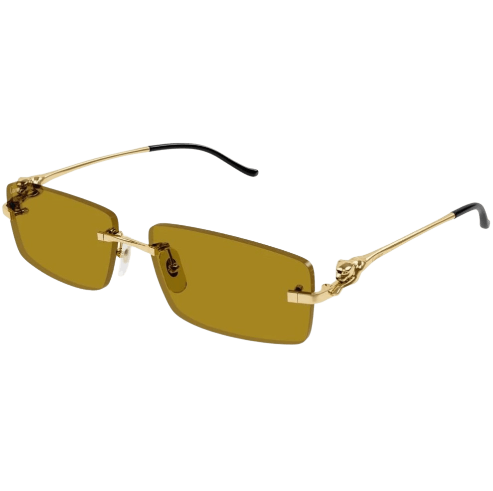 Cartier CT0430S
