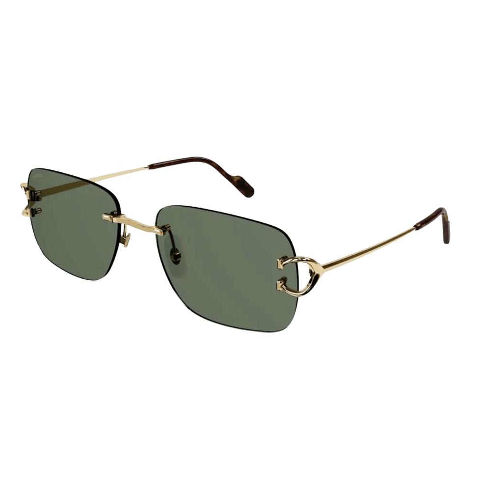 Cartier CT0330S