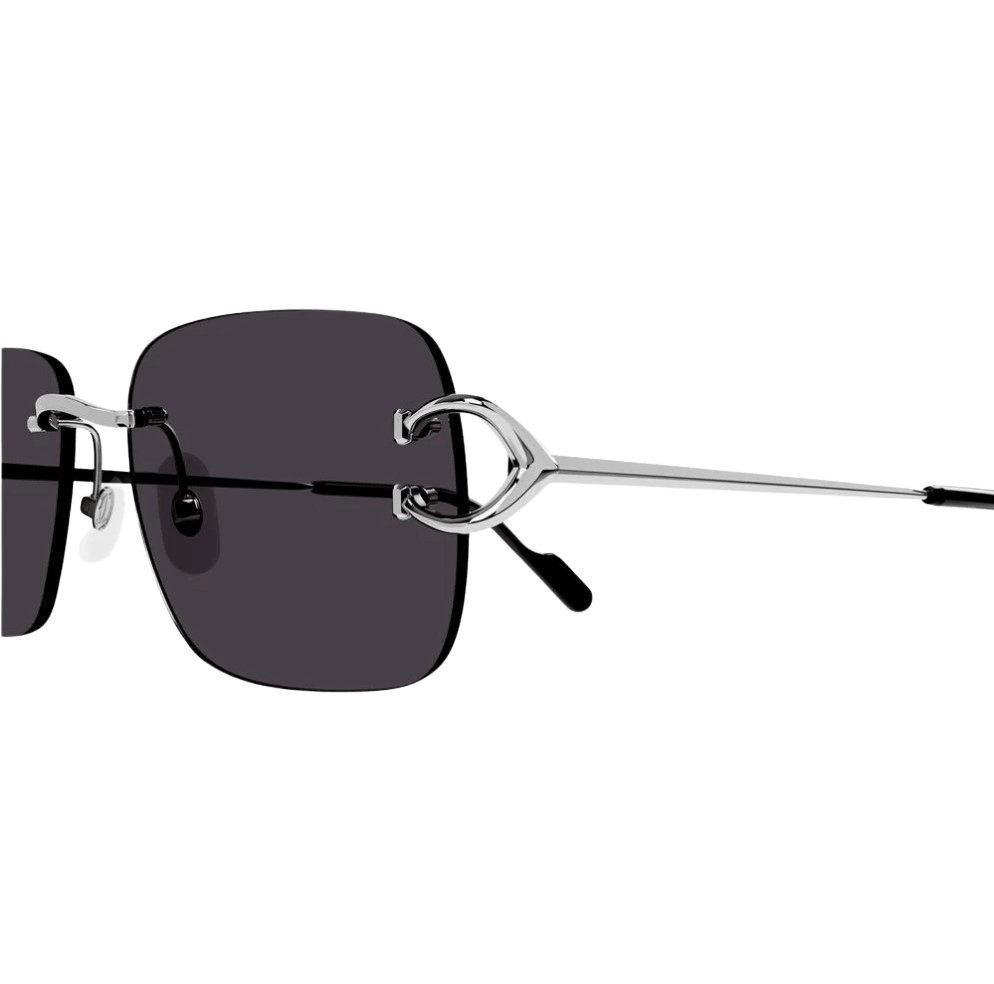 Cartier CT0330S