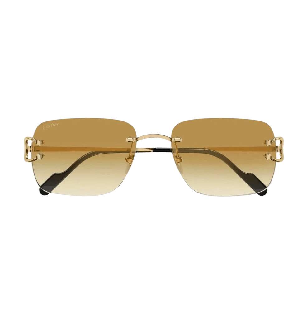 Cartier CT0330S