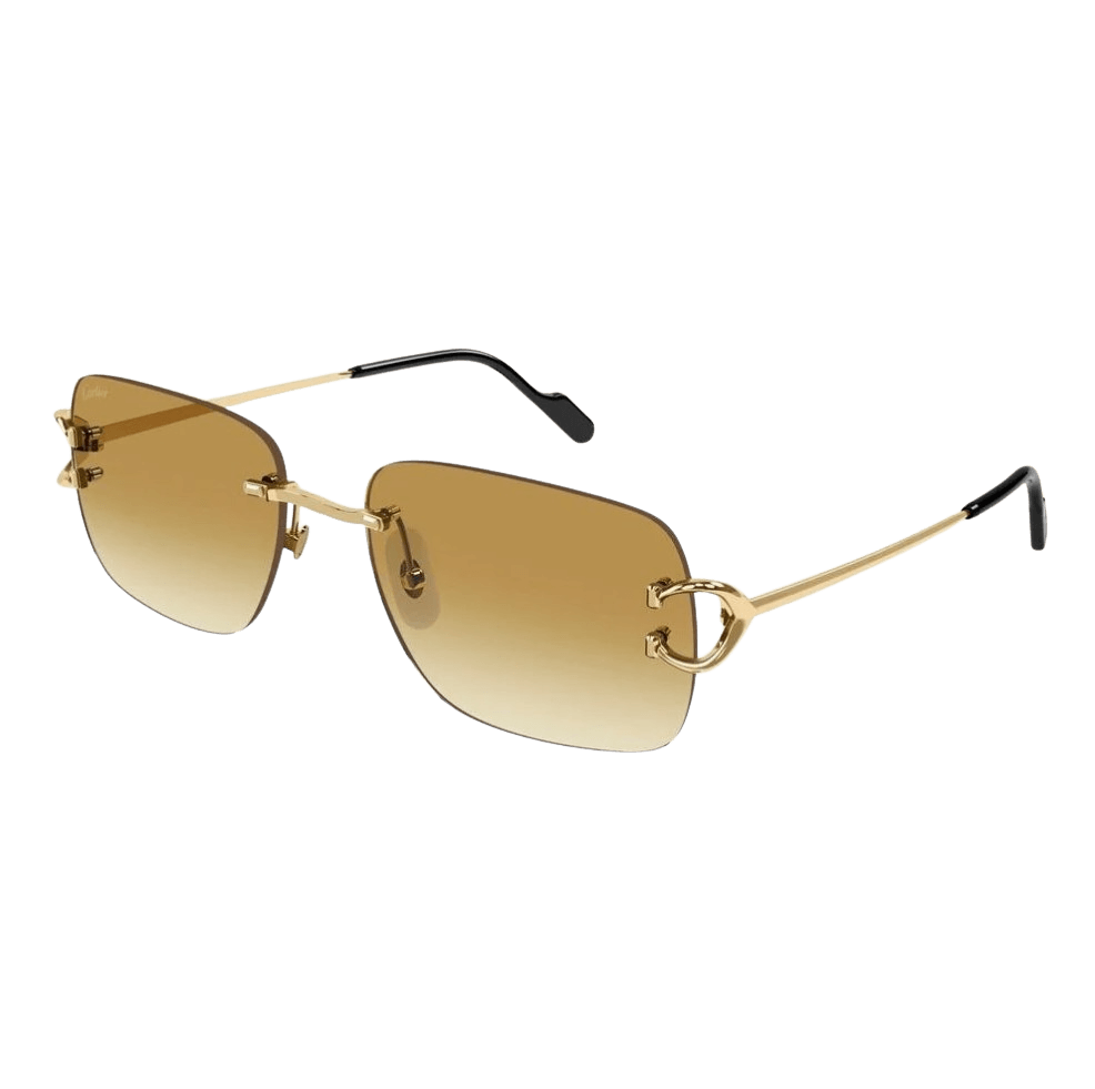 Cartier CT0330S