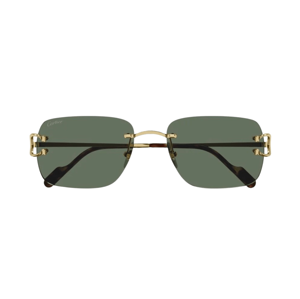 Cartier CT0330S