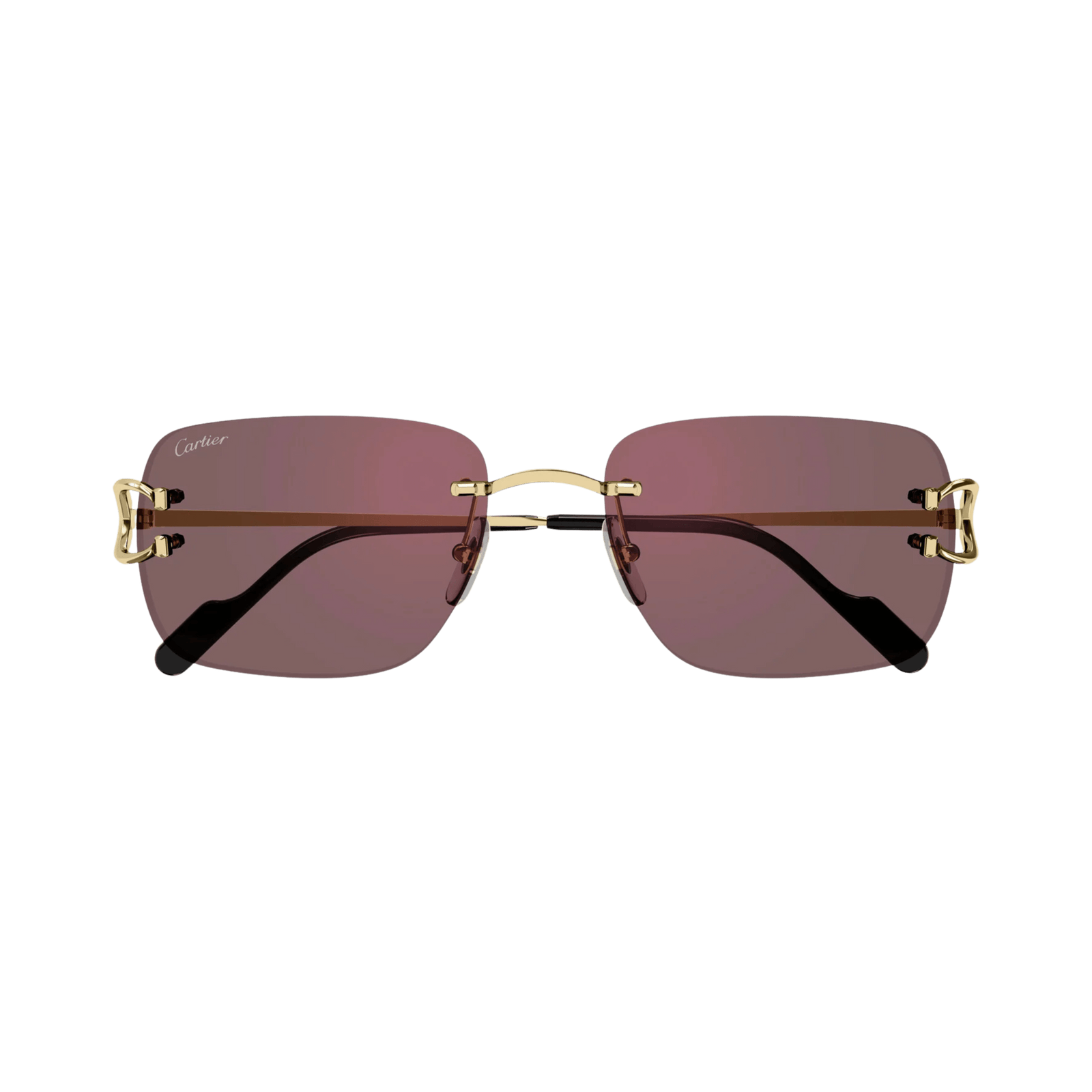 Cartier CT0330S