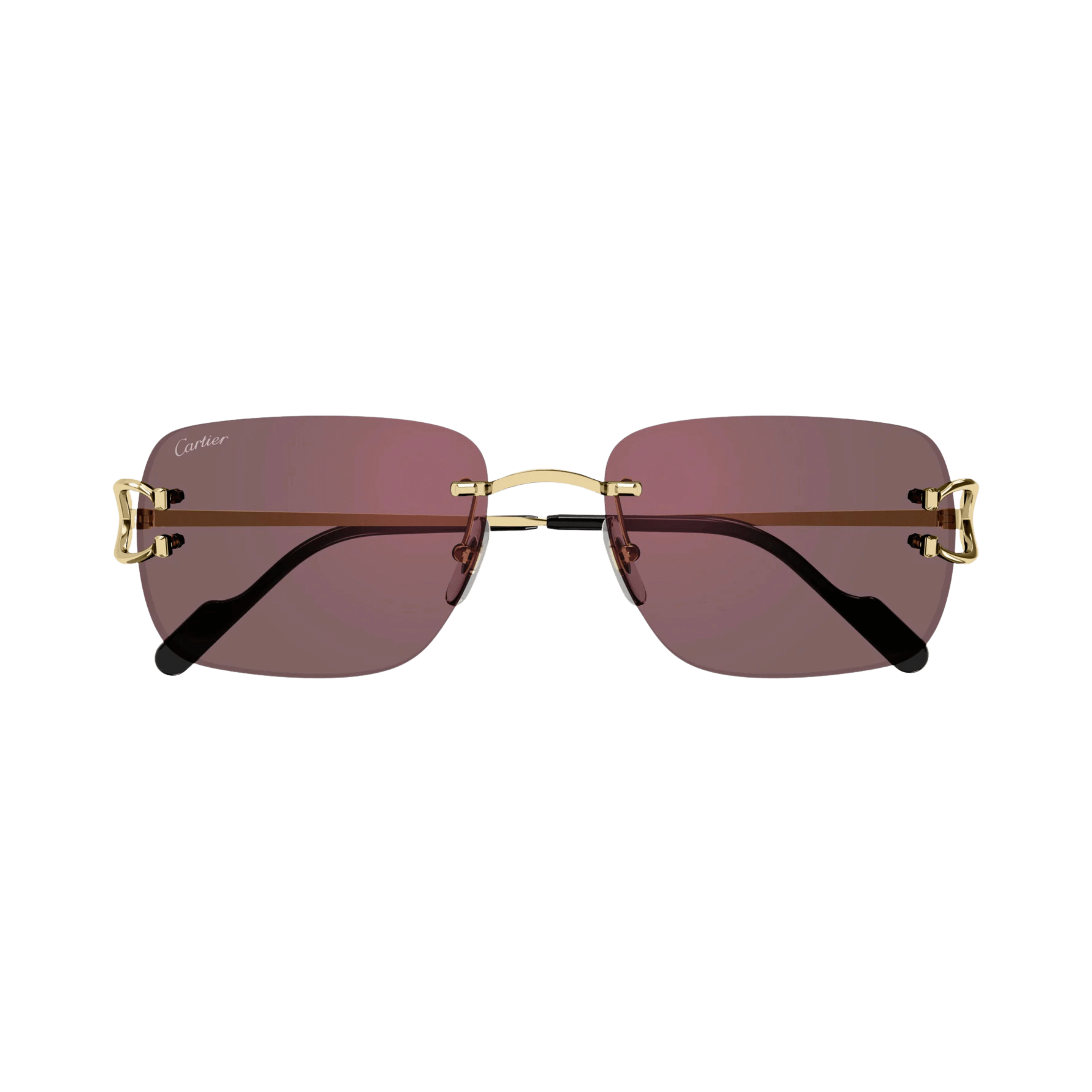 Cartier CT0330S