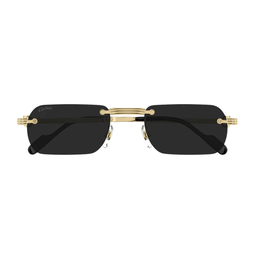 Cartier CT0499S
