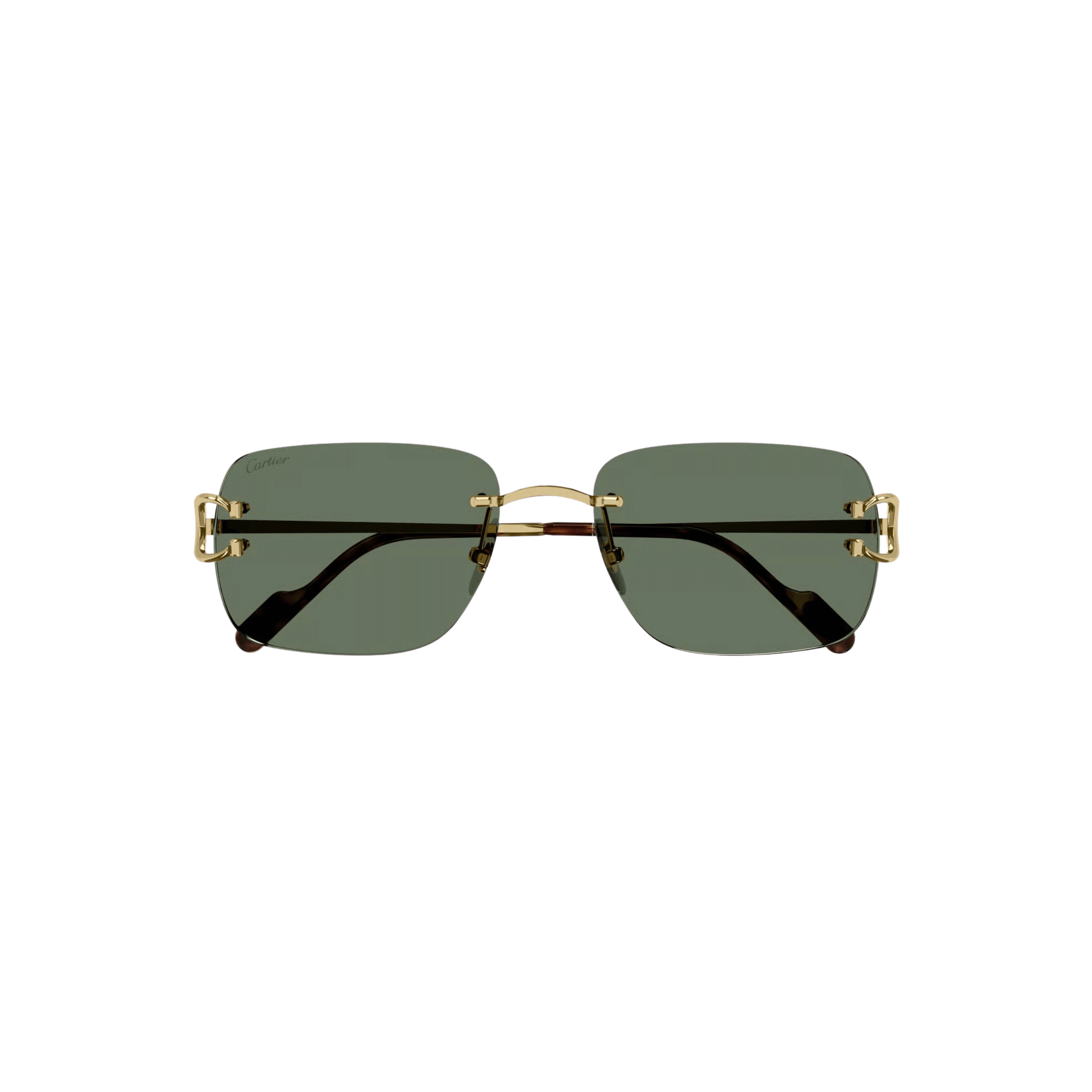Cartier CT0330S