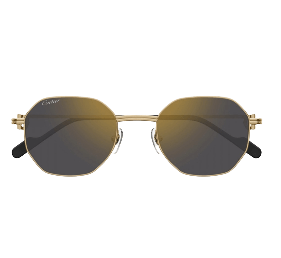 Cartier CT0500S