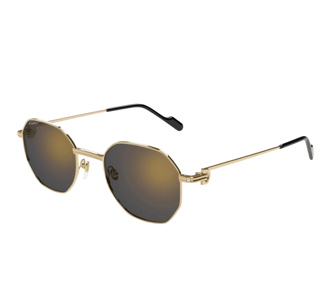 Cartier CT0500S