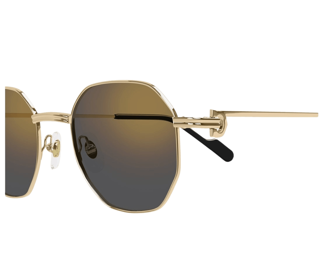 Cartier CT0500S