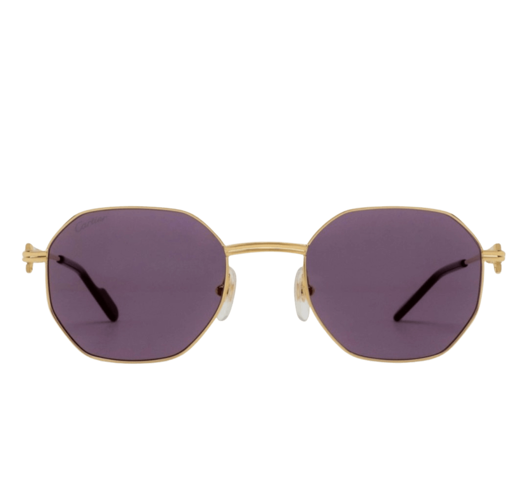 Cartier CT0500S