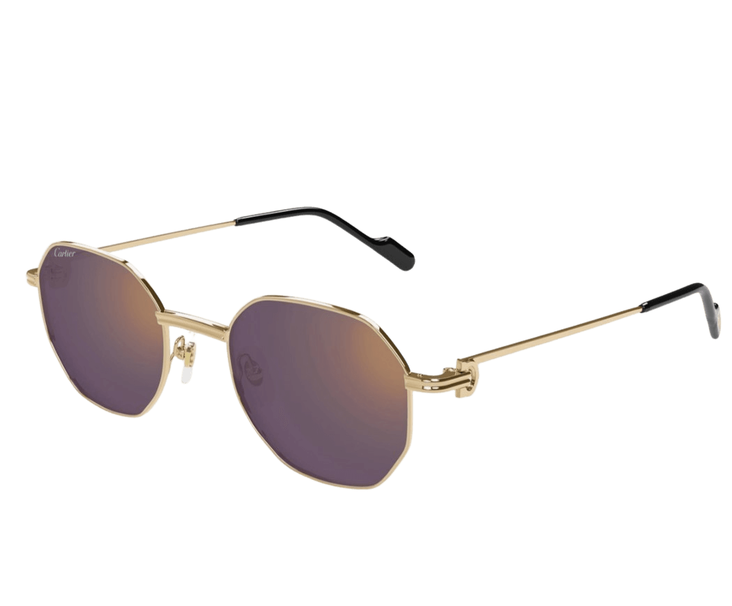 Cartier CT0500S