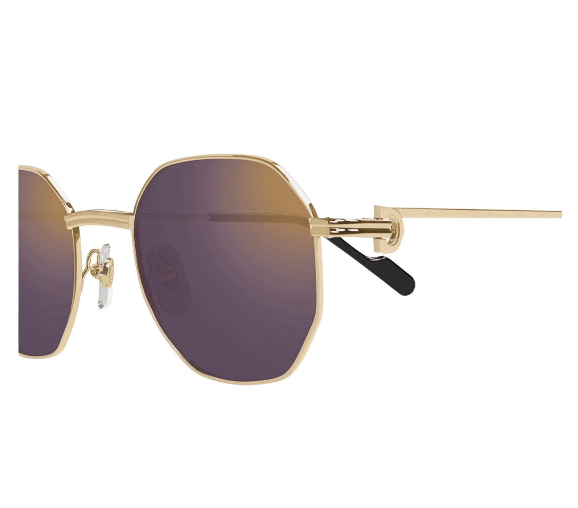 Cartier CT0500S