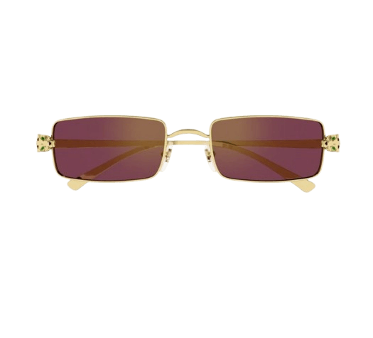 Cartier CT0473S