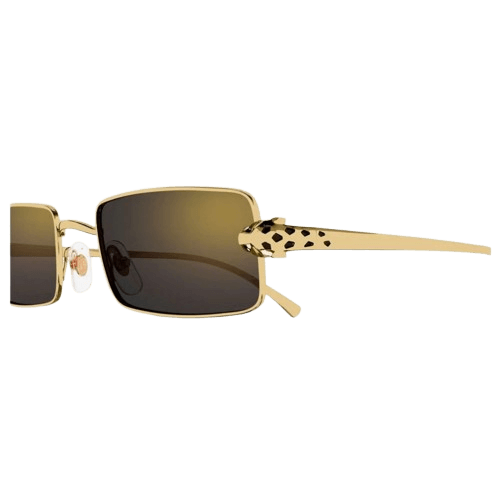 Cartier CT0473S