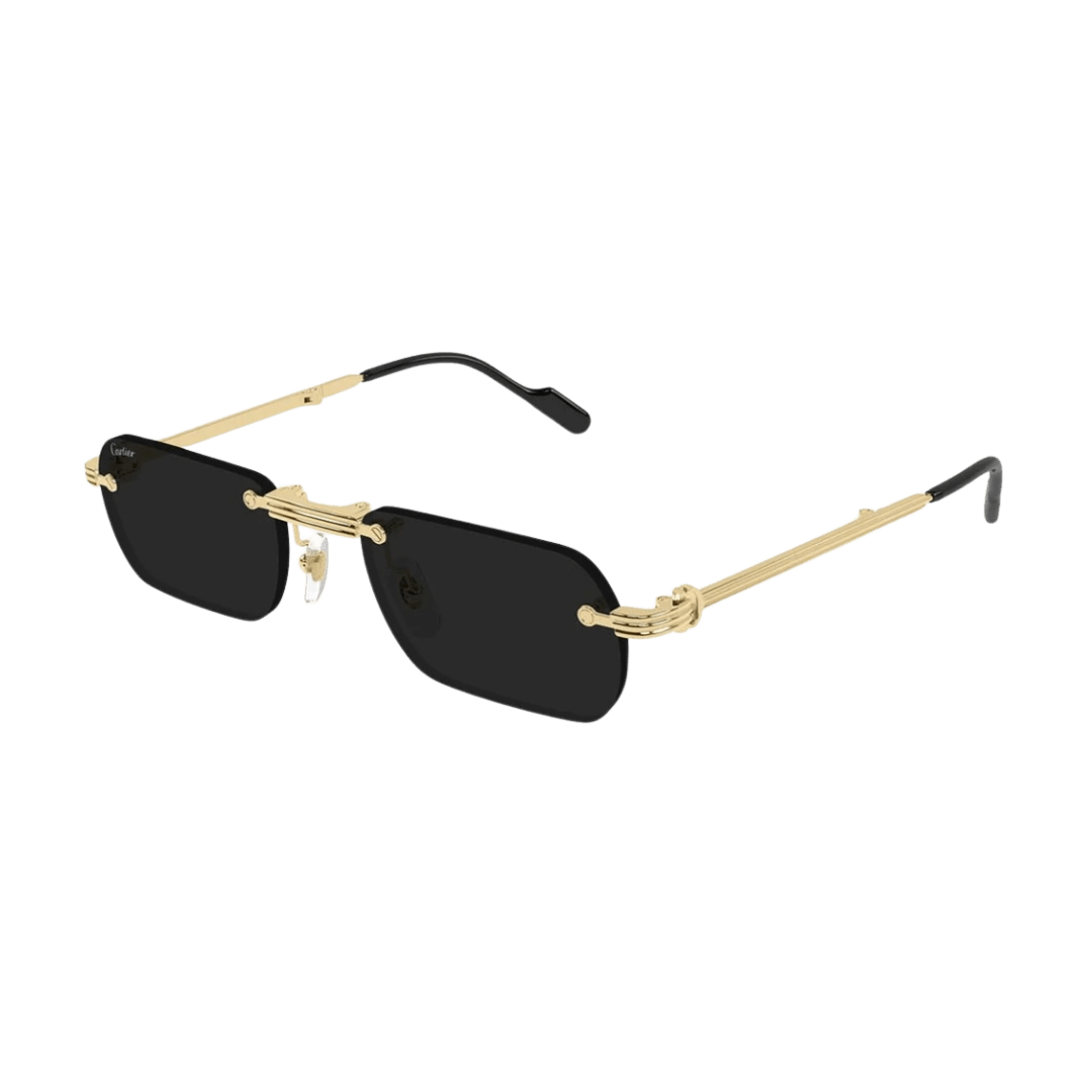 Cartier CT0499S