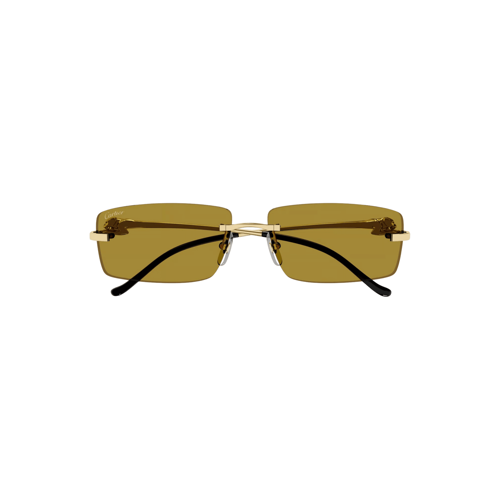 Cartier CT0430S