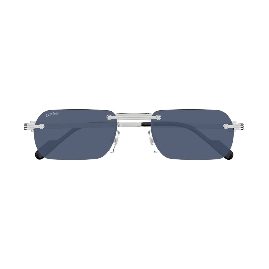 Cartier CT0499S