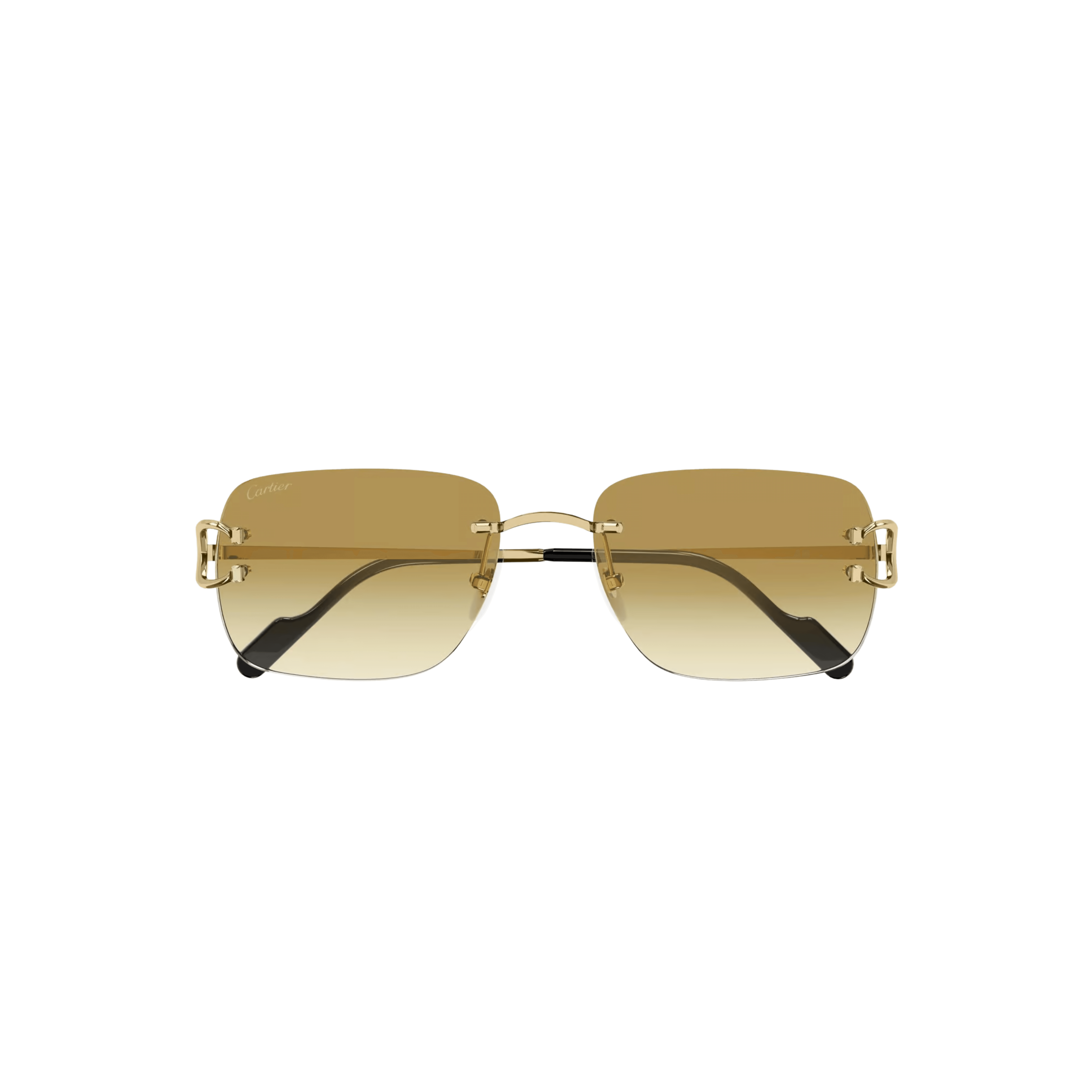 Cartier CT0330S