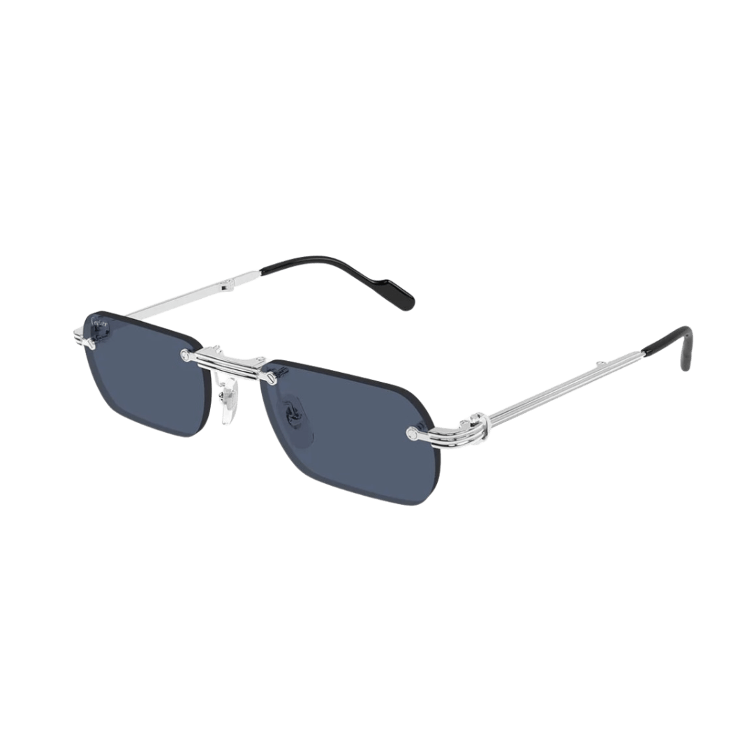 Cartier CT0499S