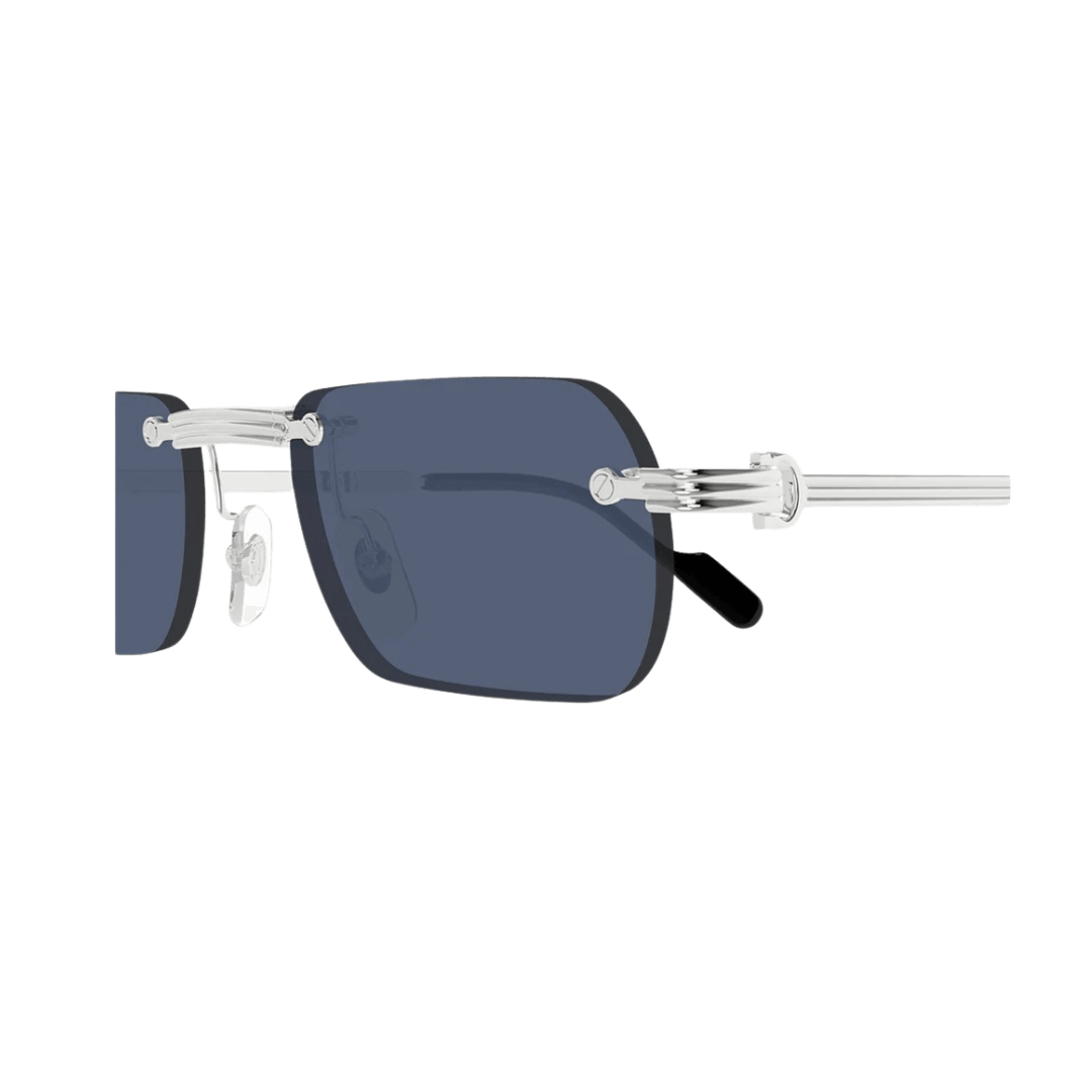 Cartier CT0499S