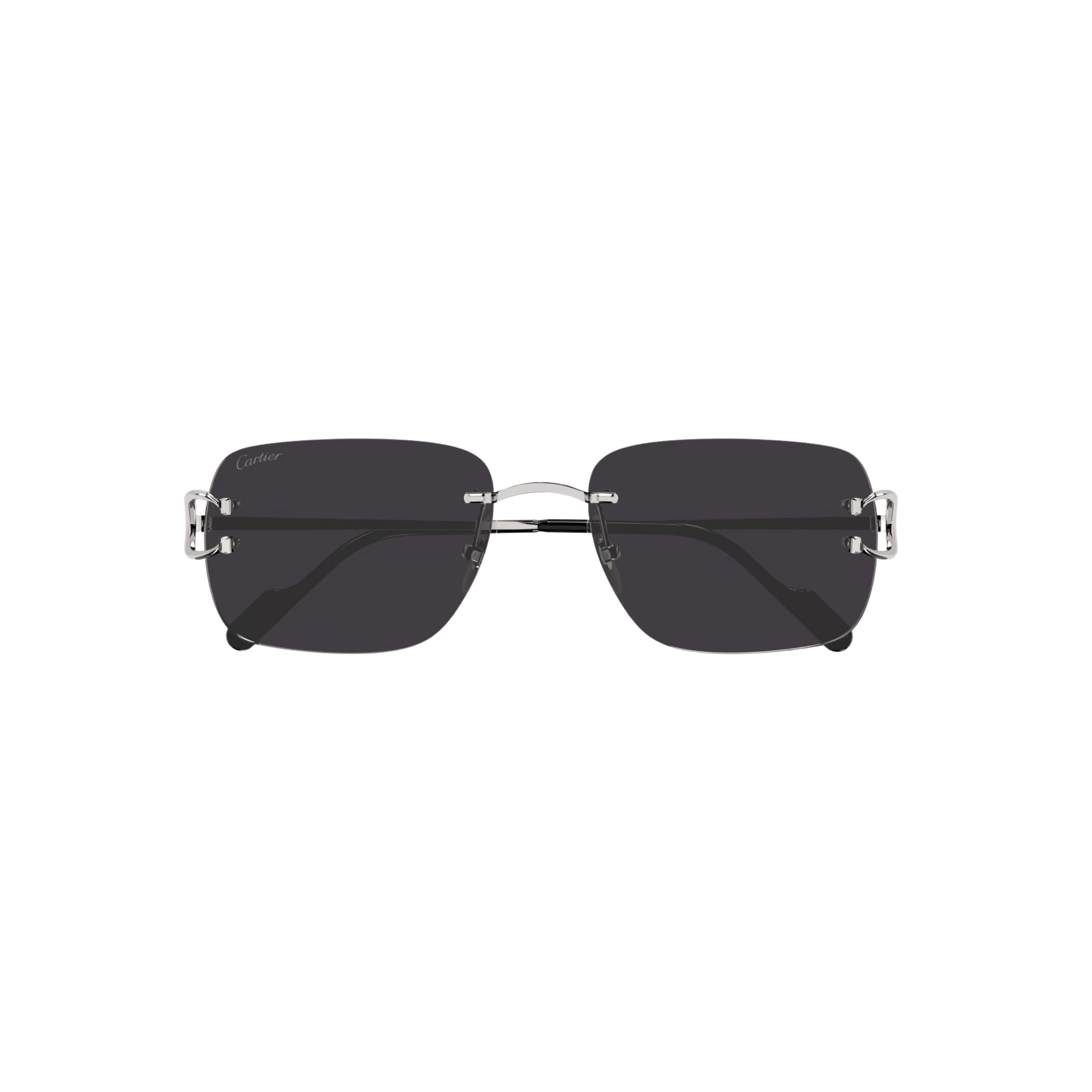 Cartier CT0330S