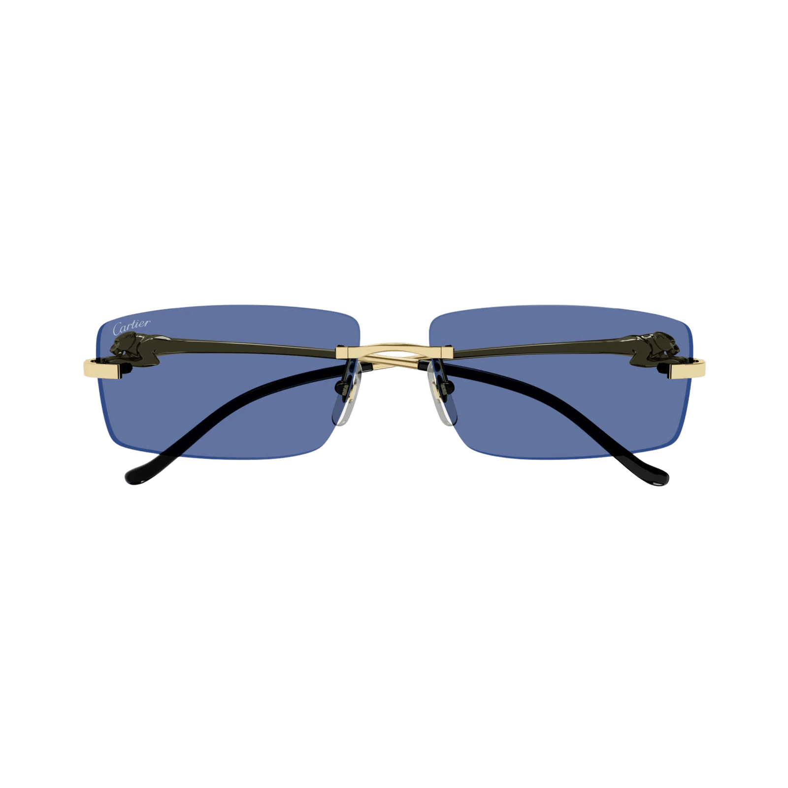 Cartier CT0430S