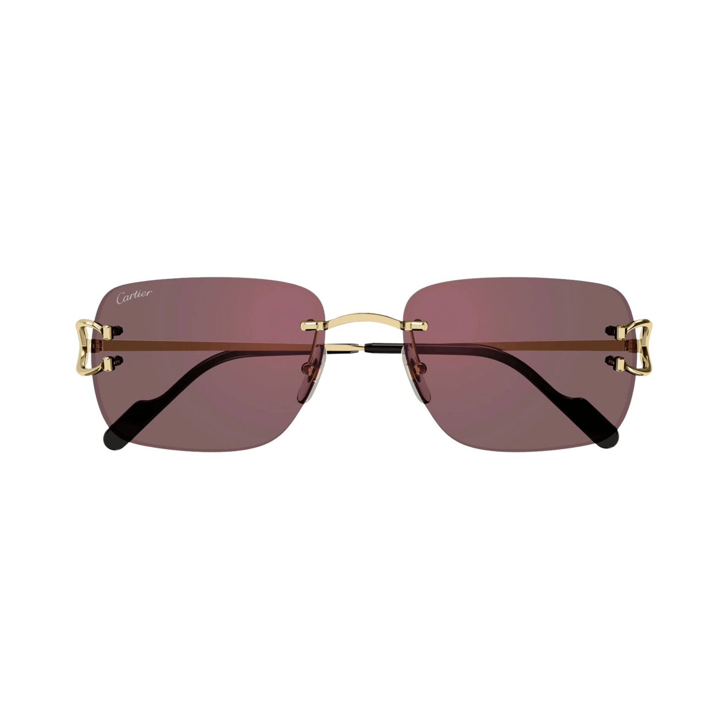 Cartier CT0330S
