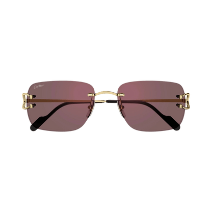 Cartier CT0330S