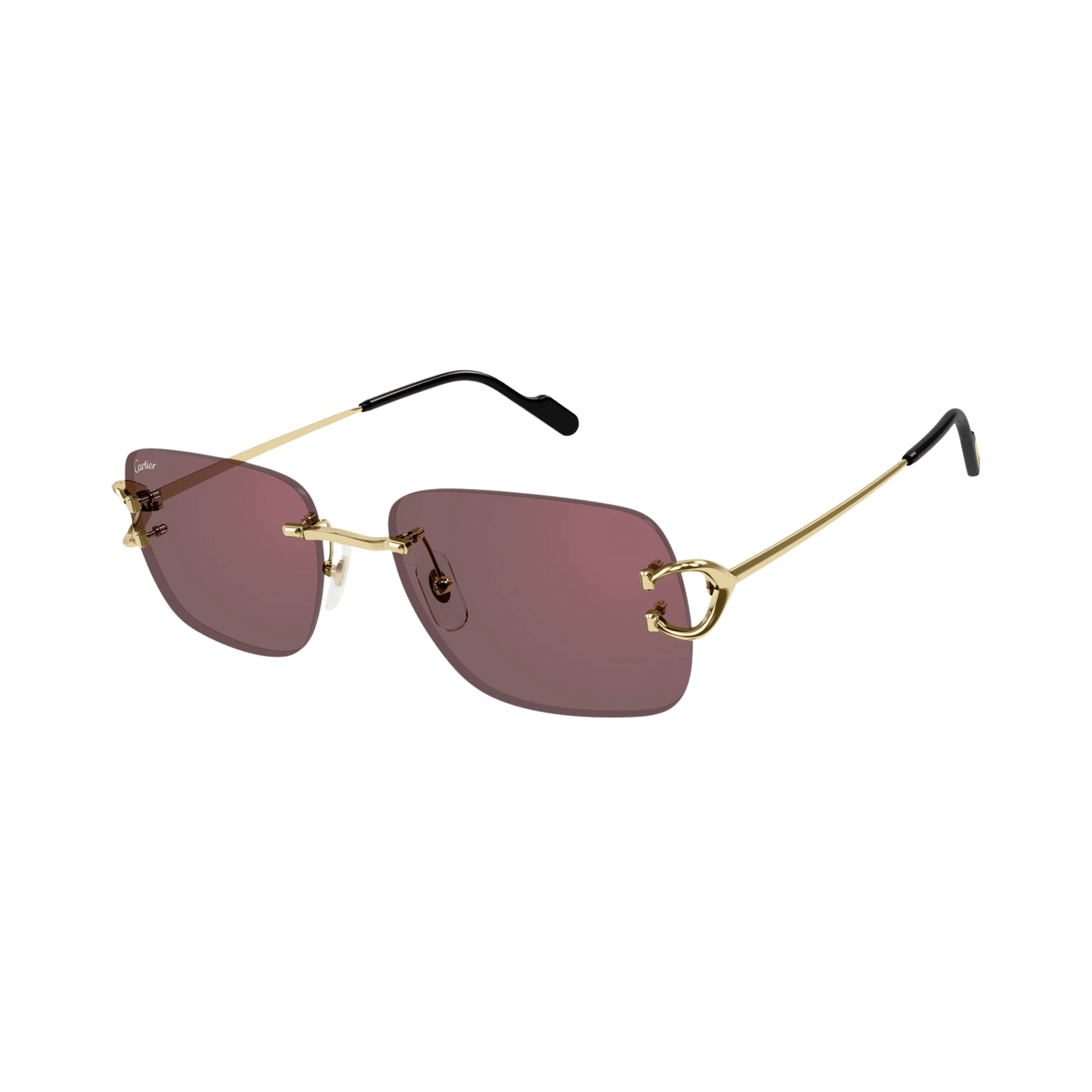 Cartier CT0330S