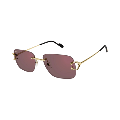 Cartier CT0330S