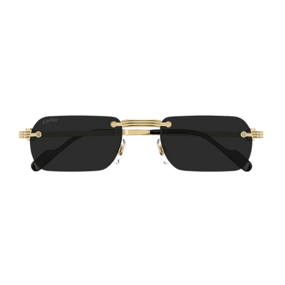 Cartier CT0499S