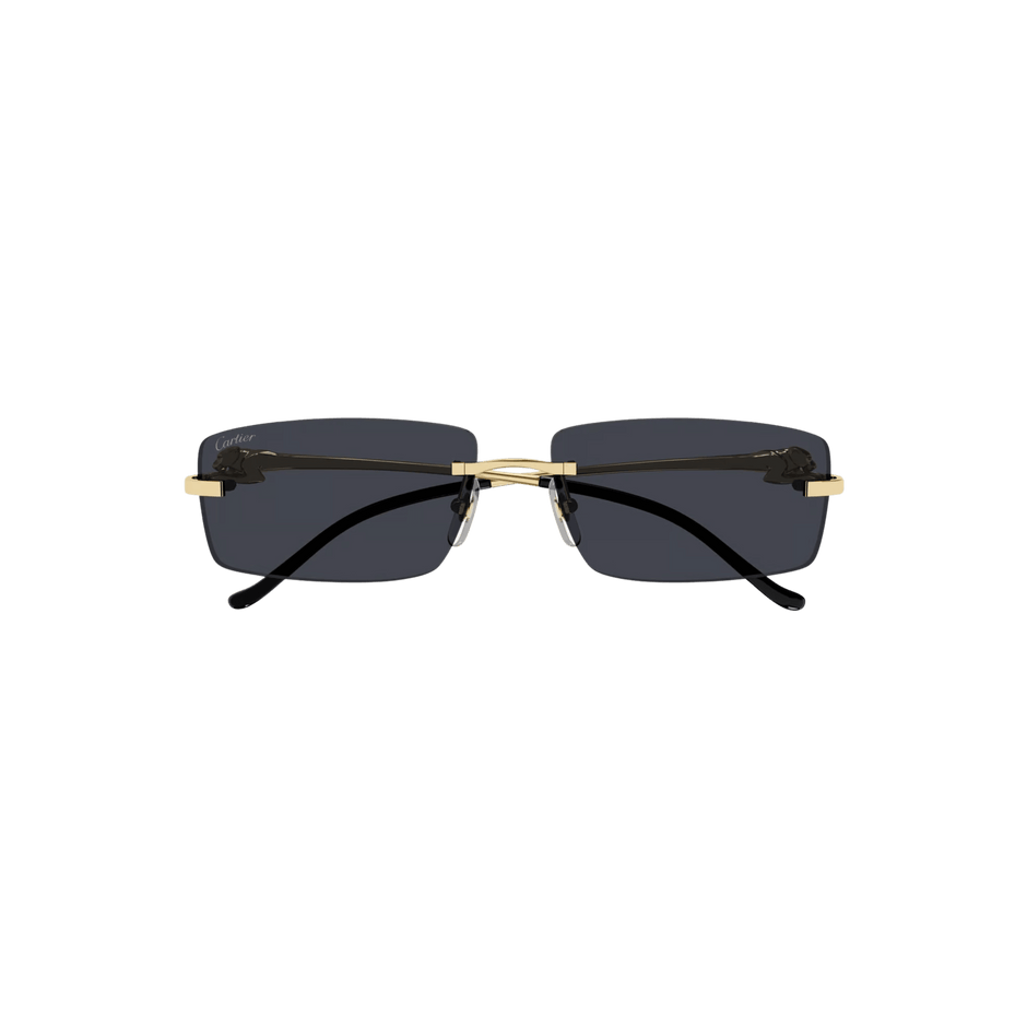 Cartier CT0430S