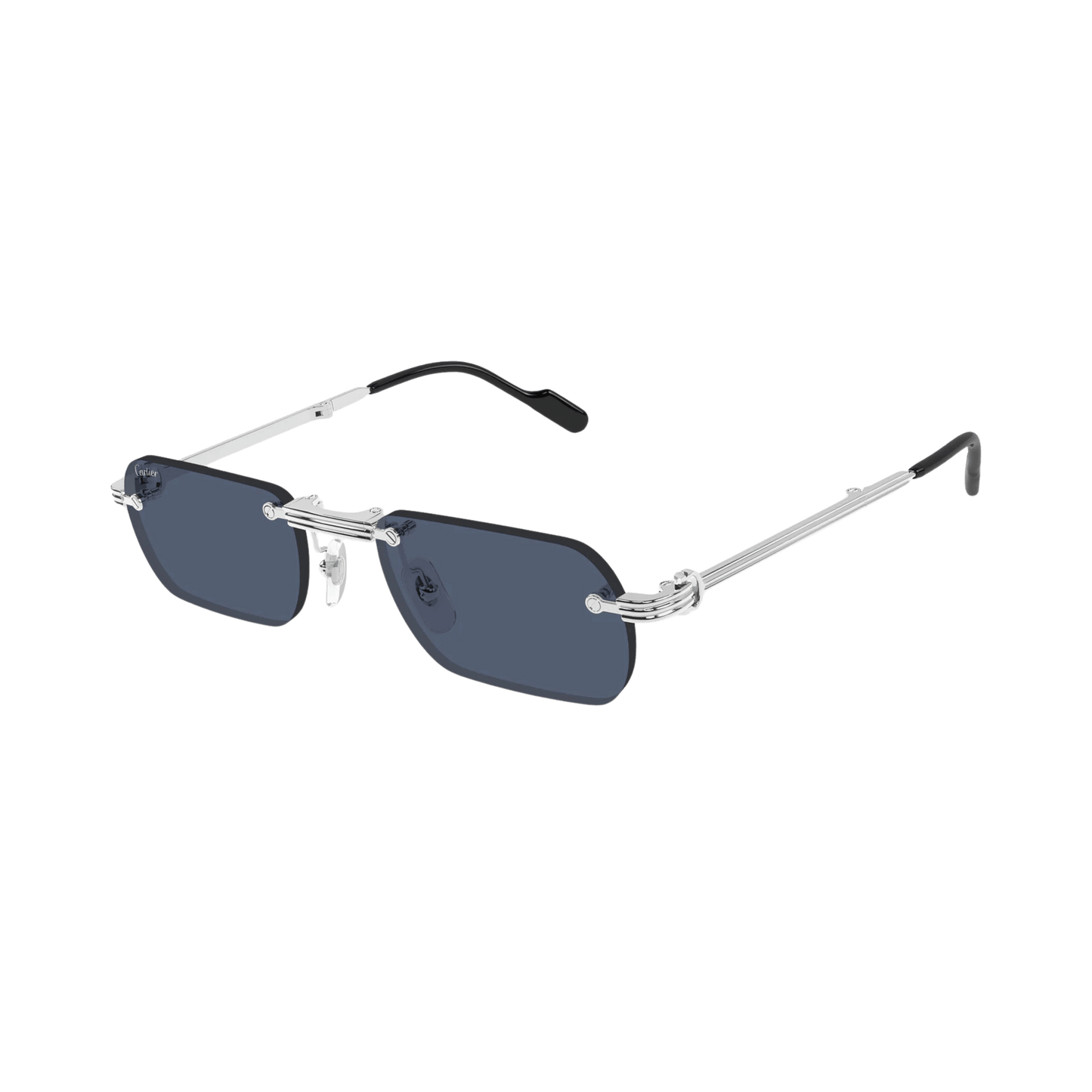 Cartier CT0499S