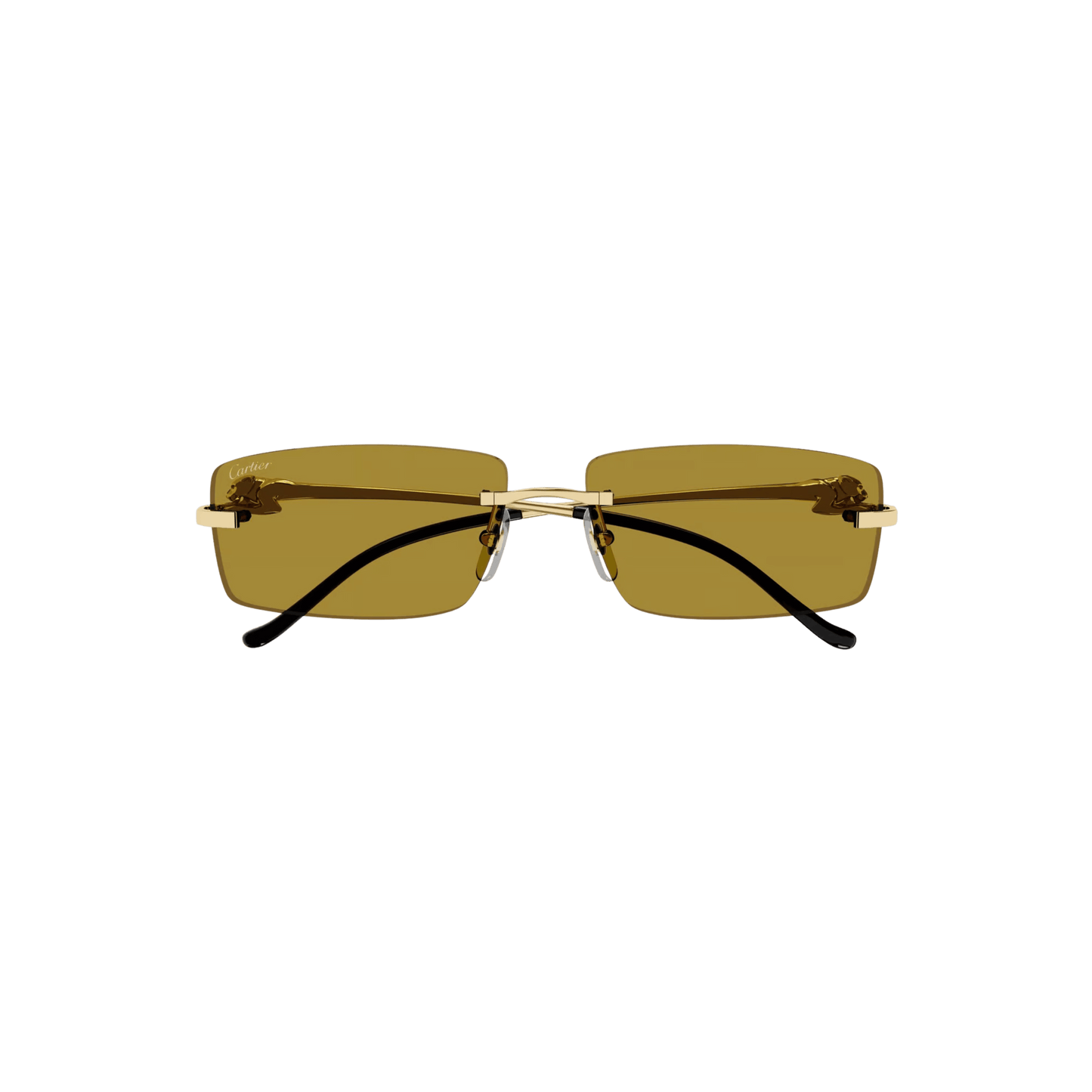 Cartier CT0430S