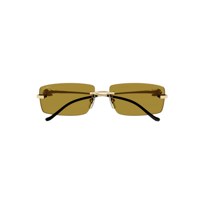 Cartier CT0430S