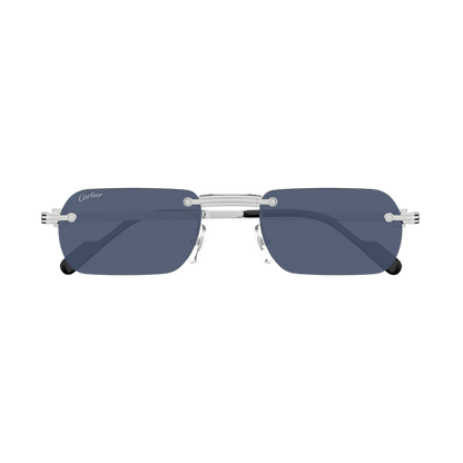Cartier CT0499S