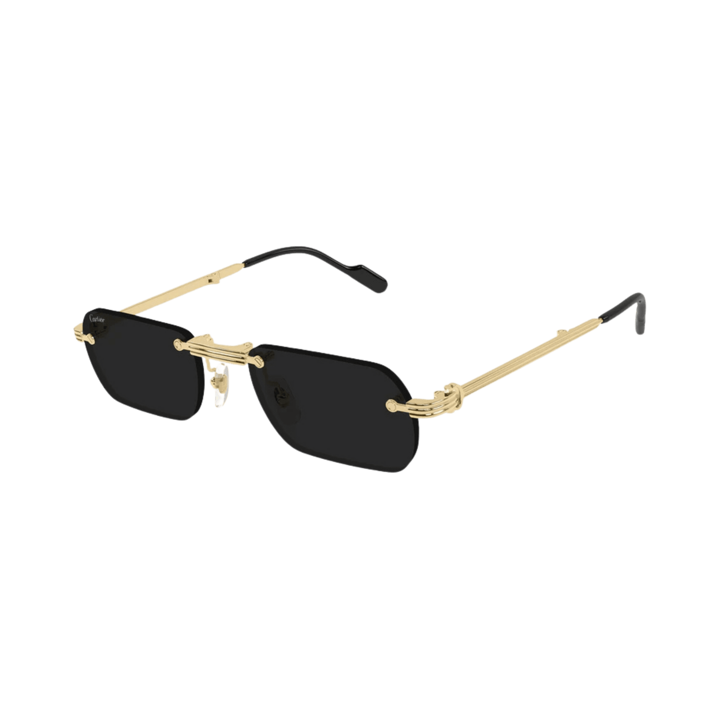 Cartier CT0499S