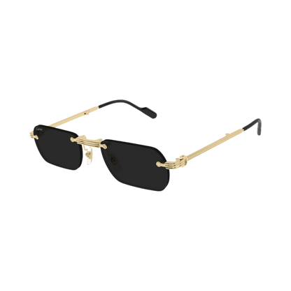 Cartier CT0499S
