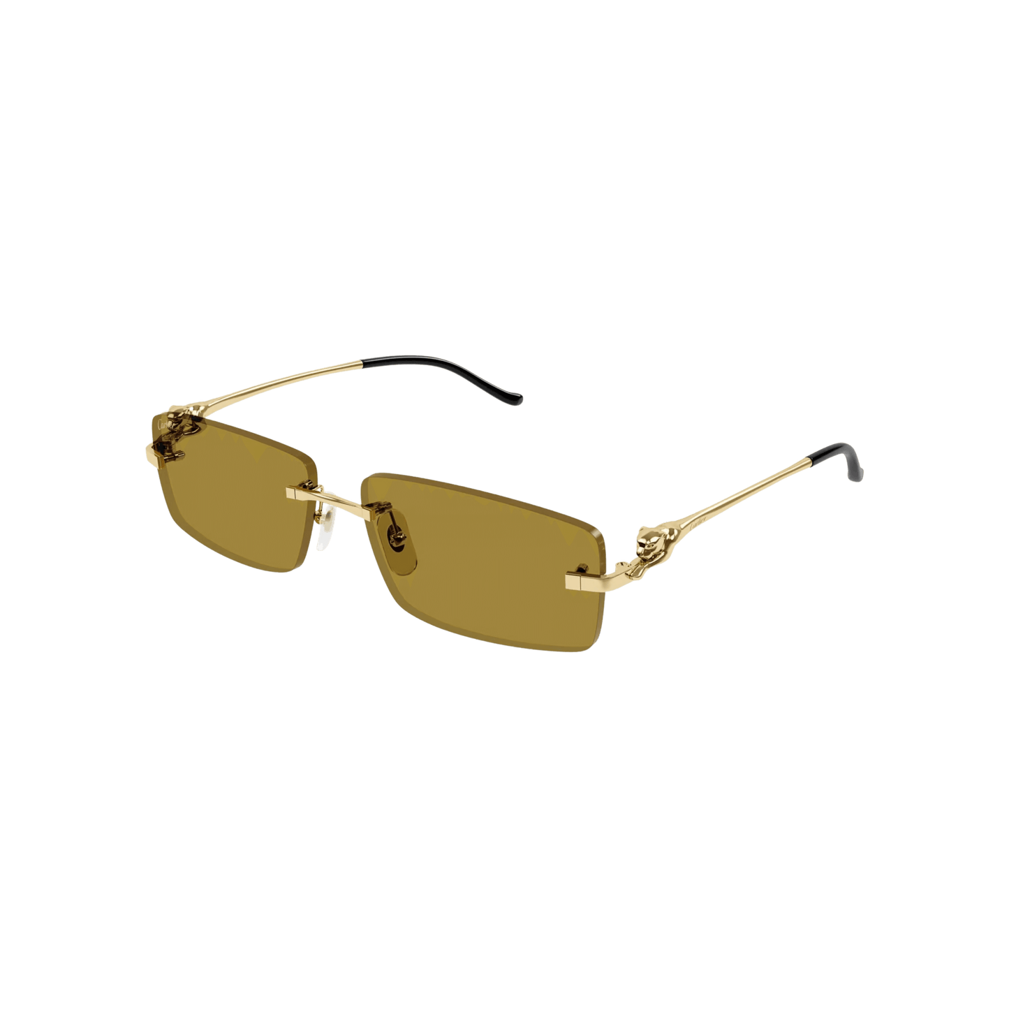 Cartier CT0430S