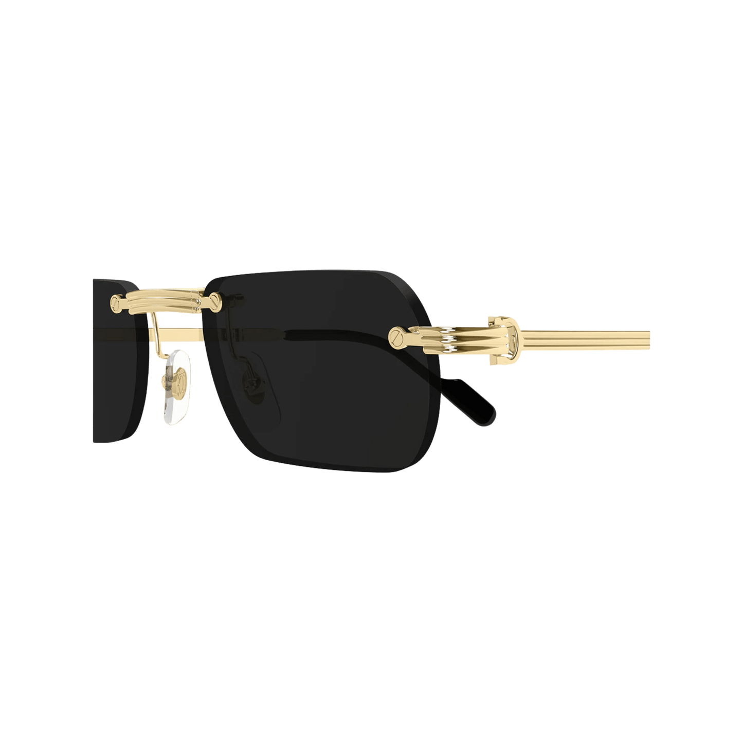 Cartier CT0499S