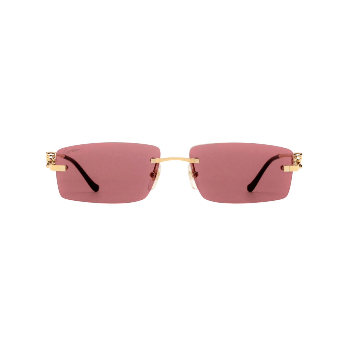 Cartier CT0430S