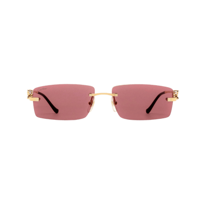 Cartier CT0430S