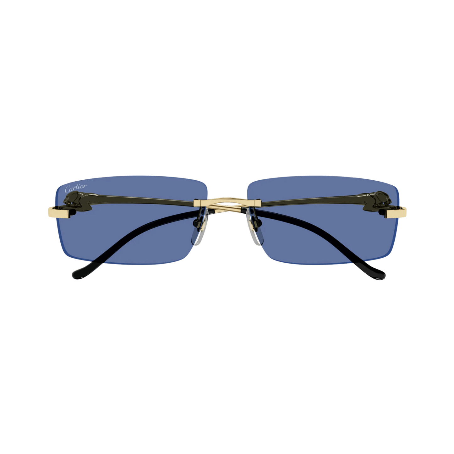 Cartier CT0430S