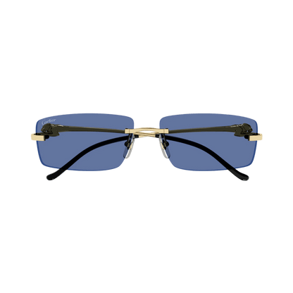 Cartier CT0430S