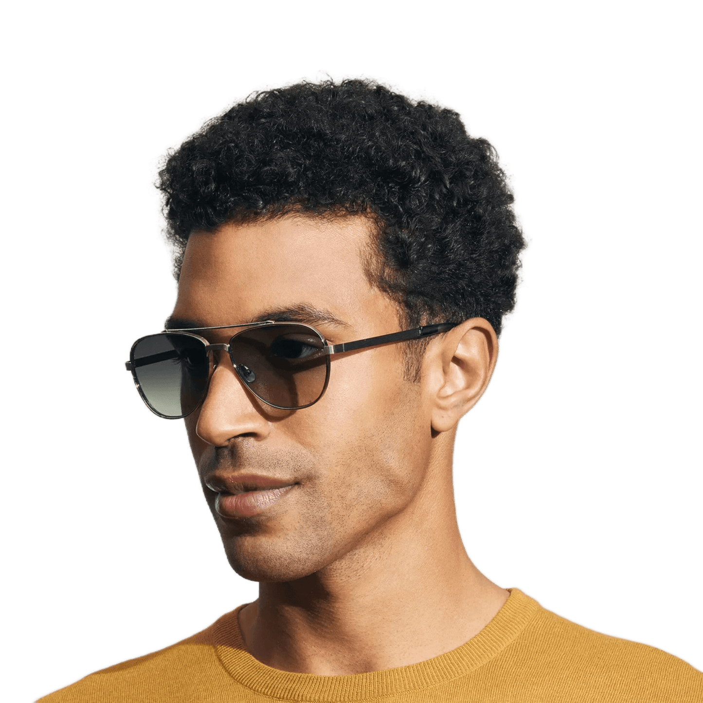 Moscot Shav Sun