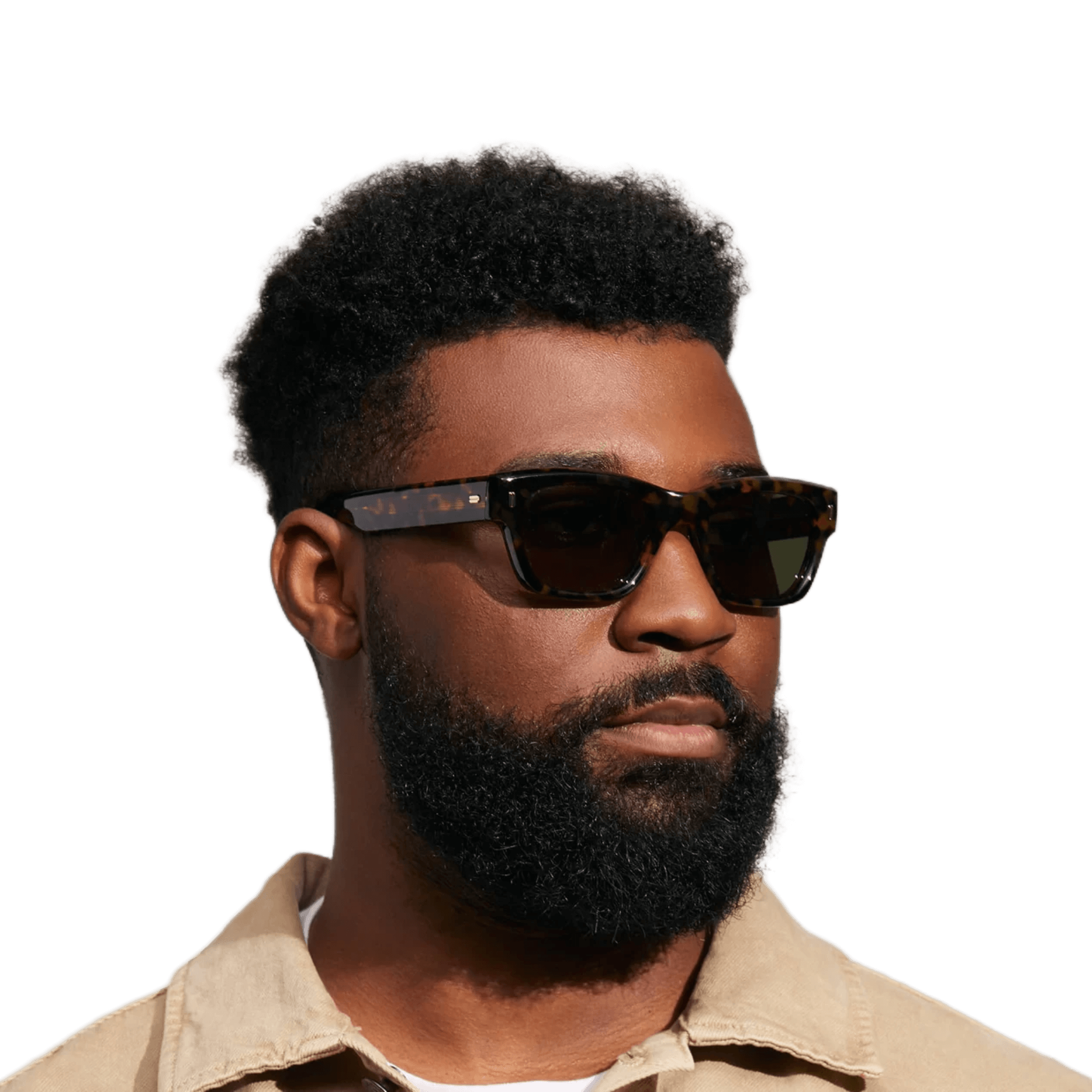 メガネ MOSCOT Moscot - ZOGAN - tortoise demo len ZOGAN SUN | Sunglasses | MOSCOT